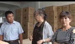 扬州甲方乙方在线观看,一场别开生面的网络盛宴